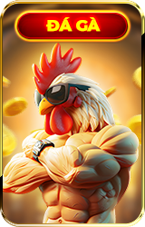 23win - Nơi Đam Mê Cá Cược Trở Thành Hiện Thực 6 Da Ga 23Win