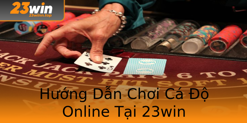 Hướng Dẫn Chơi Cá Độ Online Tại 23win Hướng Dẫn Chơi Cá Độ Online Tại 23win