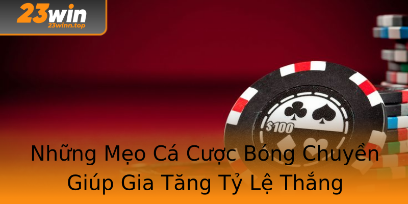 Những Mẹo Cá Cược Bóng Chuyền Giúp Gia Tăng Tỷ Lệ Thắng Những Mẹo Cá Cược Bóng Chuyền Giúp Gia Tăng Tỷ Lệ Thắng