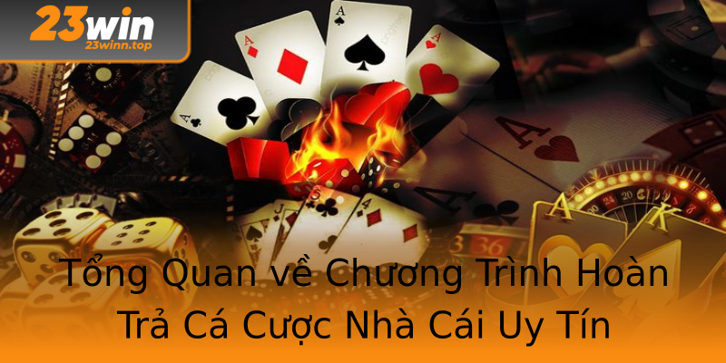Tổng Quan về Chương Trình Hoàn Trả Cá Cược Nhà Cái Uy Tín Tổng Quan về Chương Trình Hoàn Trả Cá Cược Nhà Cái Uy Tín