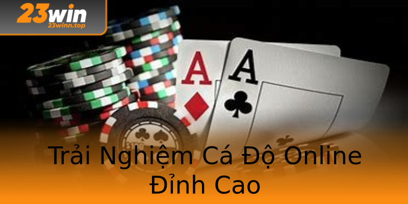 Trải Nghiệm Cá Độ Online Đỉnh Cao Trải Nghiệm Cá Độ Online Đỉnh Cao